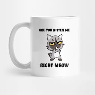 Are you kitten me right meow Mug